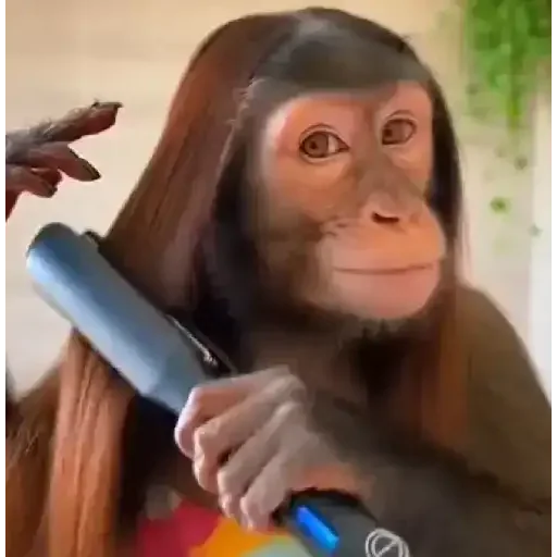 Figurinha para WhatsApp — Engraçados