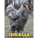 Figurinha para WhatsApp