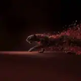 Figurinha de Animais para WhatsApp