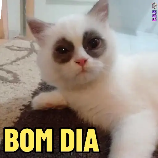 Coletadas sticker 438