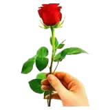 Sticker para WhatsApp