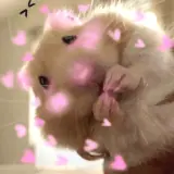 Figurinha de Animais para WhatsApp