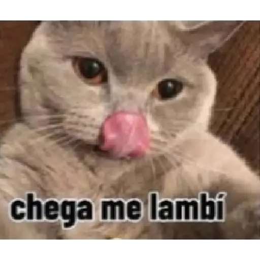 Coletadas sticker 3776
