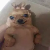 Figurinha de Cachorros para WhatsApp