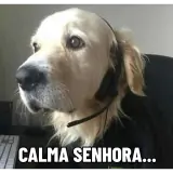 Figurinha para WhatsApp