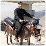 Figurinha de Memes para WhatsApp