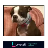 Sticker para WhatsApp