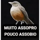 Figurinha para WhatsApp