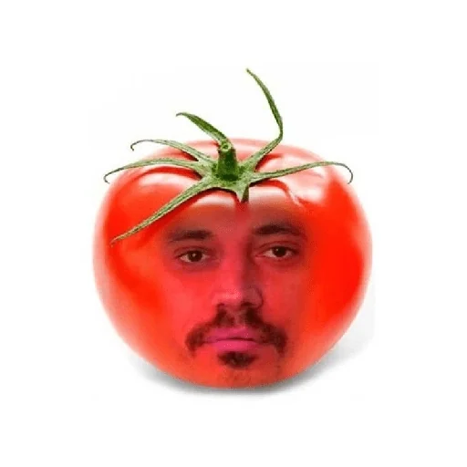 Figurinha para WhatsApp — Memes