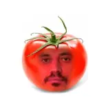 Memes WhatsApp sticker