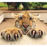 Figurinha de Animais para WhatsApp