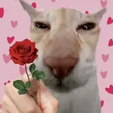 Figurinha de Amor para WhatsApp