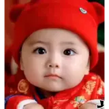 Figurinha de Animais para WhatsApp