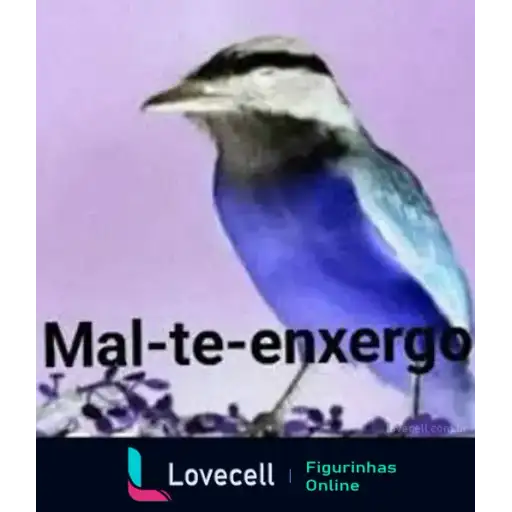 Coletadas sticker 33801
