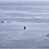 Sticker para WhatsApp