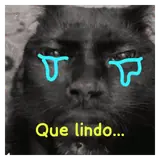 Figurinha para WhatsApp