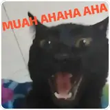 Figurinha de reação para WhatsApp