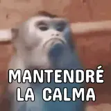 Memes WhatsApp sticker