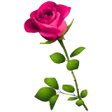 Amor WhatsApp sticker