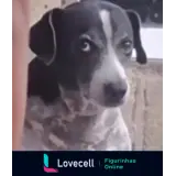 Figurinha para WhatsApp