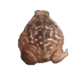 Sticker de Animais para WhatsApp