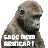 Figurinha de Memes Brasileiros para WhatsApp
