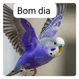 Figurinha de Saudações para WhatsApp