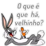 Figurinha para WhatsApp