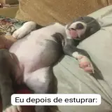 Figurinha para WhatsApp