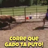 Figurinha para WhatsApp