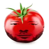 Memes WhatsApp sticker