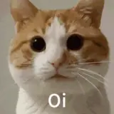 Sticker de Gatos para WhatsApp