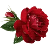 Sticker para WhatsApp