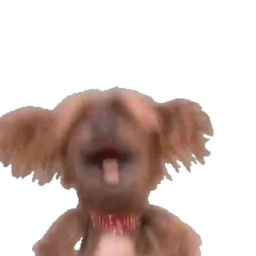 Figurinha para WhatsApp — Cachorros