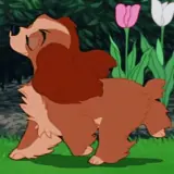 Figurinha de Animais para WhatsApp