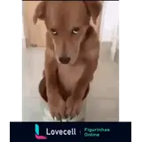 Figurinha para WhatsApp