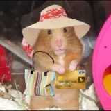 Figurinha de Animais para WhatsApp