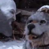 Figurinha de Animais para WhatsApp