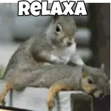 Figurinha de Memes para WhatsApp