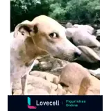Figurinha para WhatsApp