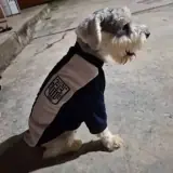 Sticker de Cachorros para WhatsApp