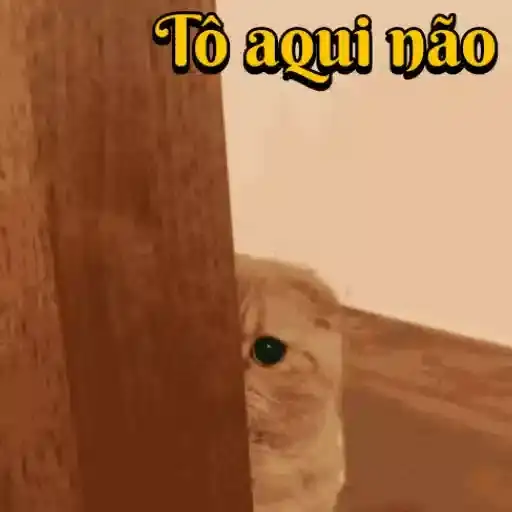 Coletadas sticker 976