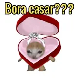 Figurinha de Memes para WhatsApp