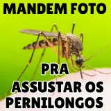 Figurinha de Memes Brasileiros para WhatsApp