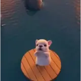 Figurinha de Cachorros para WhatsApp