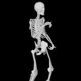 Sticker de Engraçados para WhatsApp