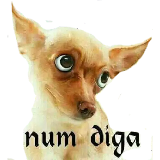 Coletadas sticker 594