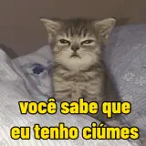 Figurinha de Gatos para WhatsApp