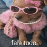 Figurinha de Animais para WhatsApp