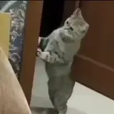 Figurinha para WhatsApp